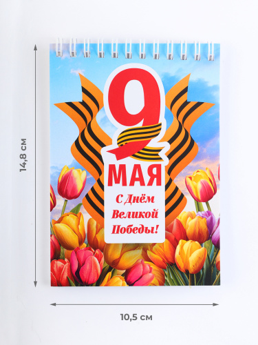 Канцелярский набор "9 Мая. С Днём Великой Победы!": блокнот, ручка фото 3
