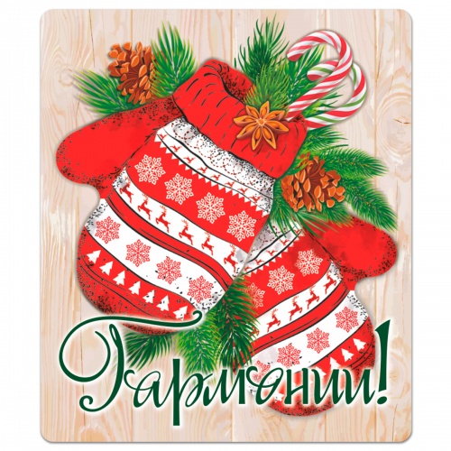 Магнит "Варежки. Гармонии", гибкий, 60х70 мм