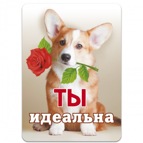 Магнит "Ты идеальна", гибкий, 50х70 мм - Магниты Санкт-Петербург