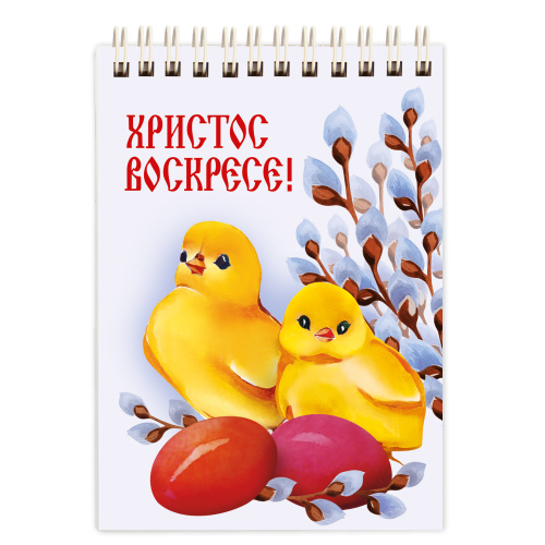 Блокнот на пружине "ХВ. Цыплята. Яйца. Верба", 105х148 мм